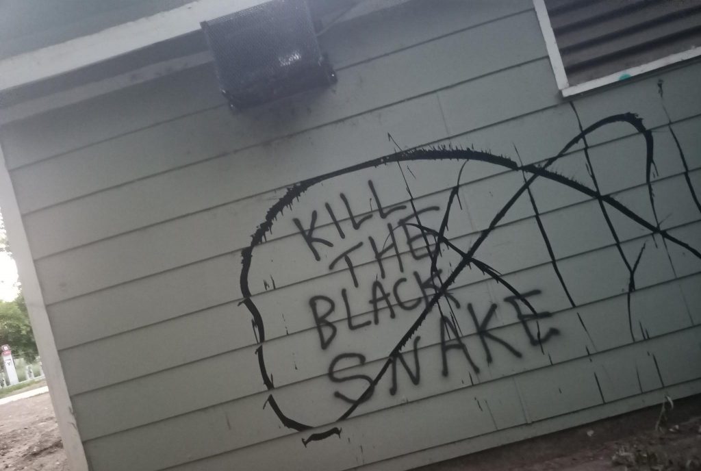 kill the black snake - CU shed off creek path at 19th